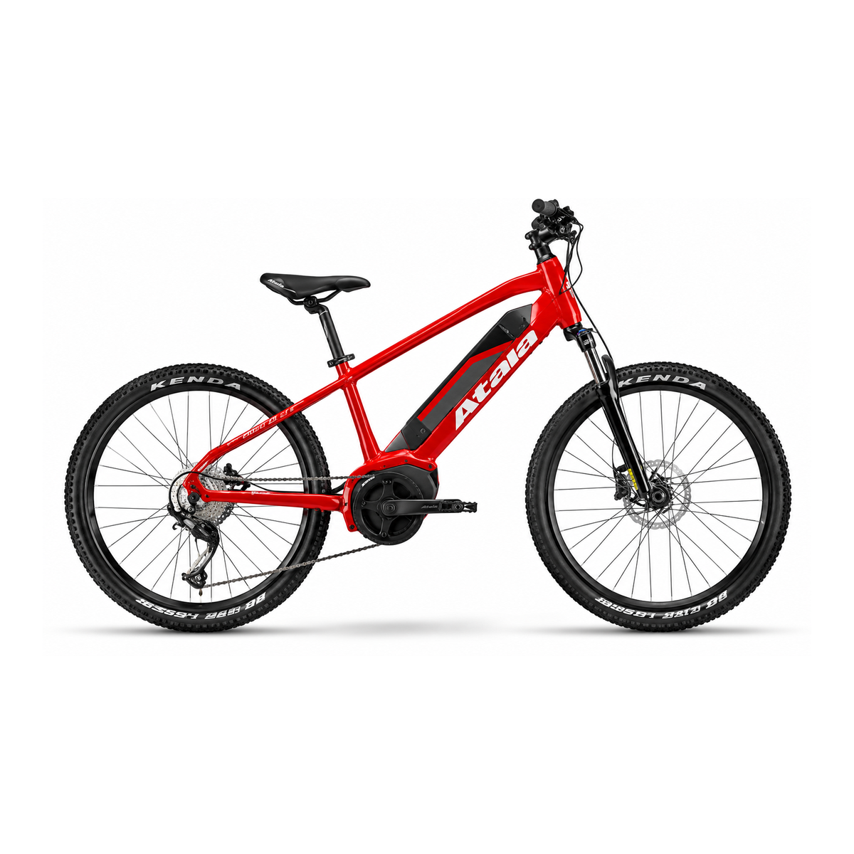 Atala Doodle 24″